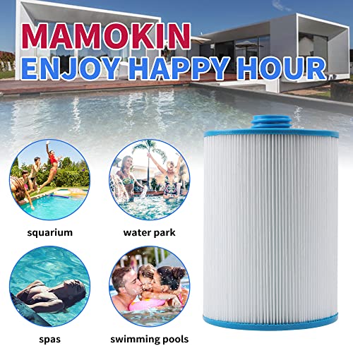 PWW50 Spa Filter (2 Count)