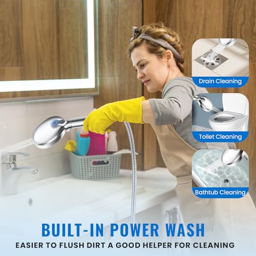 Filtered Shower Head with Handheld