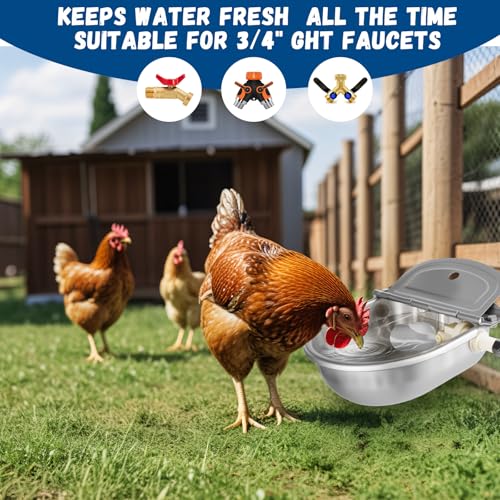 Automatic Water Dispenser for Dogs