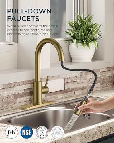 Kitchen Faucet with Pull Down Sprayer