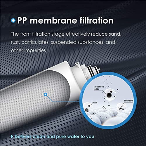 TS2PPCTCS Replacement Filter for TSC (4 Count)