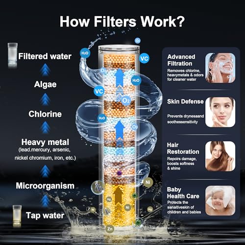 Filtered Shower Head with Handheld (3 Count)