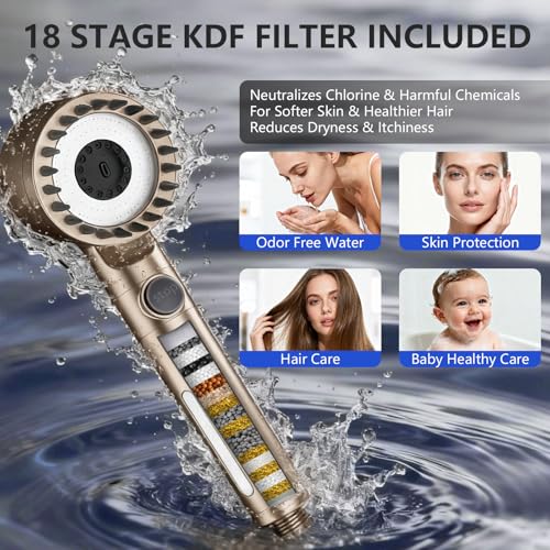 Filtered Shower Head with Handheld