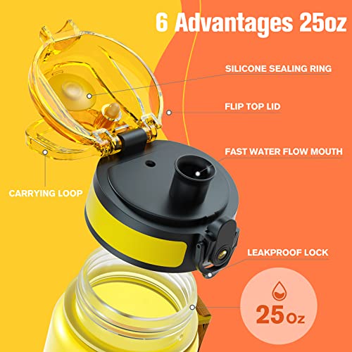 Water Bottle 25oz