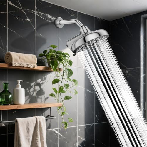 High Pressure Filtered Shower Head with Filters