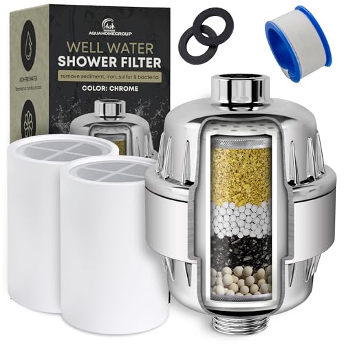 Well Water Shower Filter (2 Count)