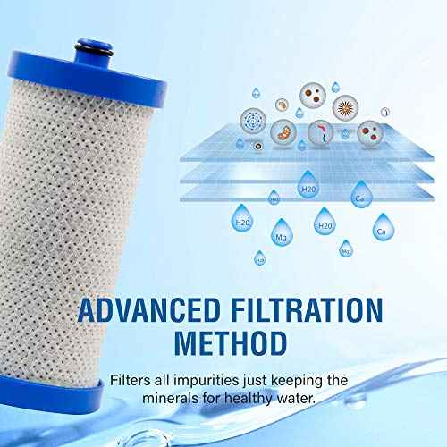 SGF-WF1CB (2 pack) 240394501, NGRG-2000, RF-100, RG-100, 218710901 Kenmore 469910 Frigidaire Replacement Water Filter