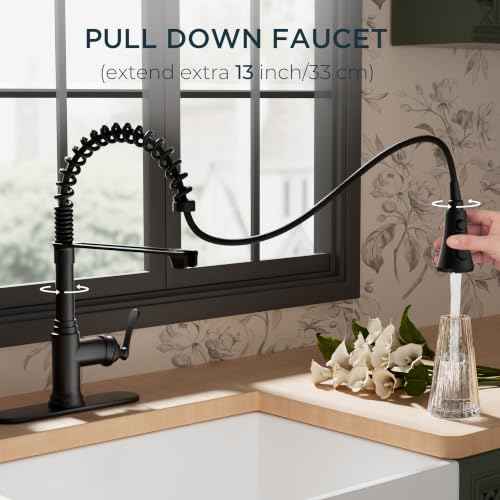 Rustic Black Kitchen Faucet with Pull Down Sprayer