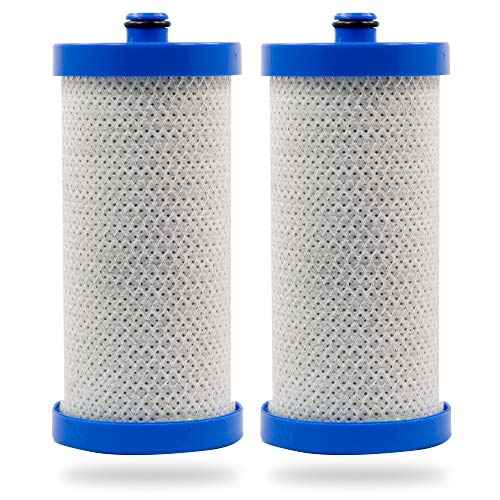 SGF-WF1CB (2 pack) 240394501, NGRG-2000, RF-100, RG-100, 218710901 Kenmore 469910 Frigidaire Replacement Water Filter