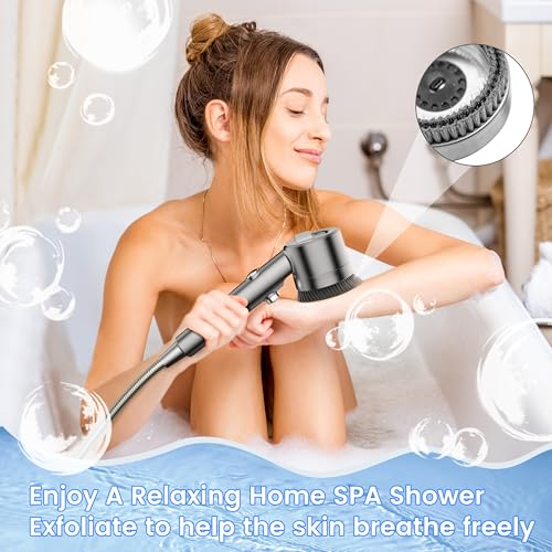 Filtered Shower Head with Handheld