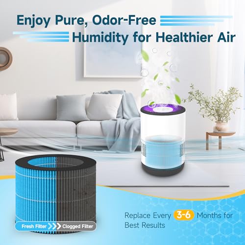 2 Pack MistAire Eva Replacement Filter Compatible with Pure Enrichment MistAire Eva