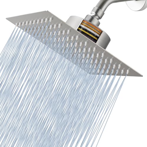 Rain Shower Head with Filtered