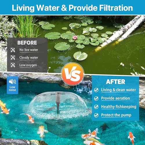 55W Solar Fountain Pump with Pond Filter Box