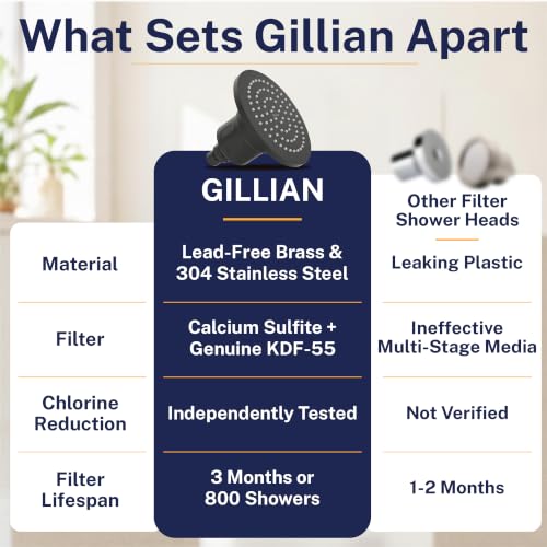 Gillian Filtered Shower Head for Hard Water