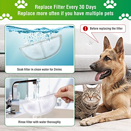 6 Pack Replacement Filters for WF20