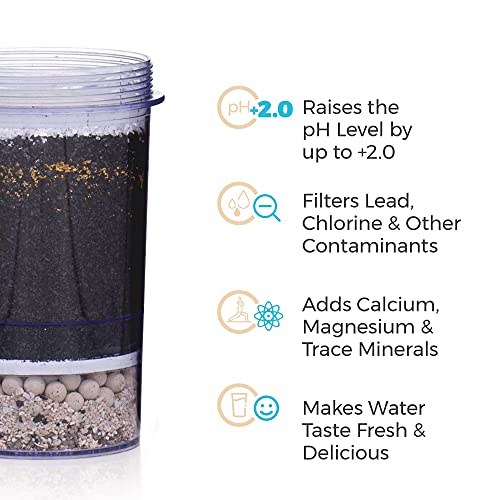 5 Stage Alkaline Replacement Filter for the Gravity Water System by Santevia