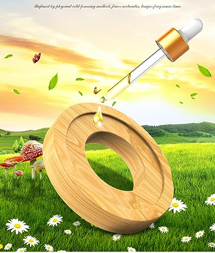 1 Pack Fragrance Tablet Ring
