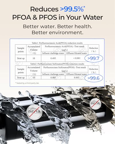DLG P Under Sink Water Filter System