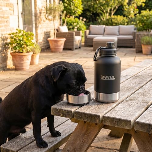 Outdoor Dog Water Bottle with 2 Stainless Steel Bowls
