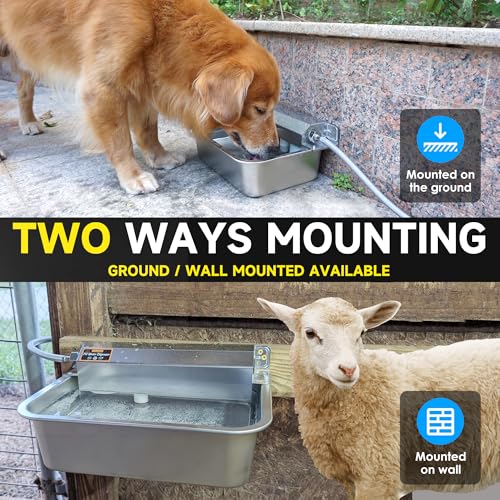 Automatic Dog Water Dispenser