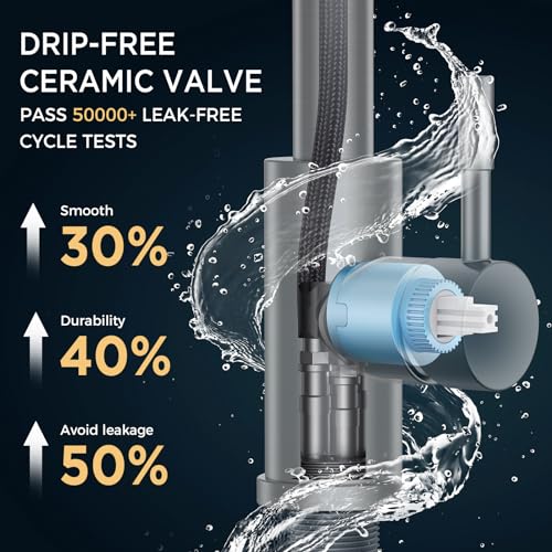 Chrome Kitchen Faucet with Soap Dispenser