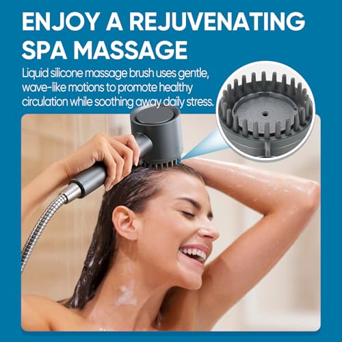 Filtered Shower Head with Handheld