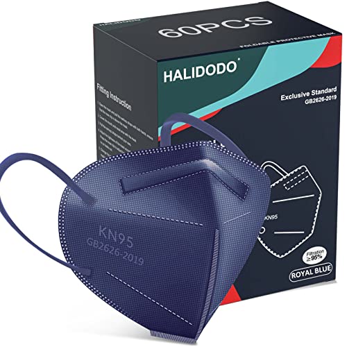 KN95 Face Mask (60 Count)
