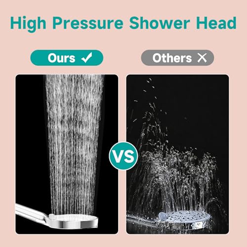 6“ Filtered Shower Head with Handheld
