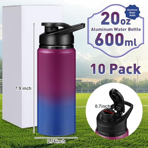 10 Pcs Aluminum Water Bottles (10 Count)