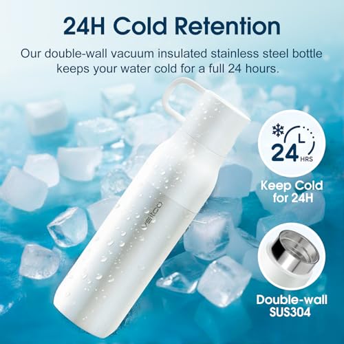 S2 25oz Insulated Stainless Steel Filtered Water Bottle with Straw