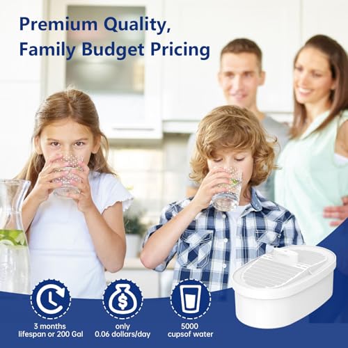 4 Pack Replacement Filter for Waterdrop® WD (4 Count)