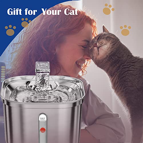 Cat Water Fountain