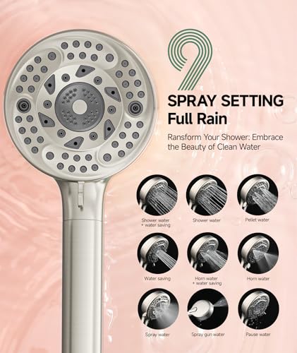 Filtered Shower Head with Handheld