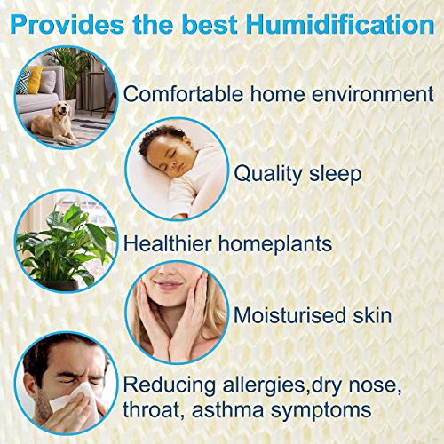2 pack Humidifier Wick Filter Replacement for Sears Kenmore 14909 (2 Count)