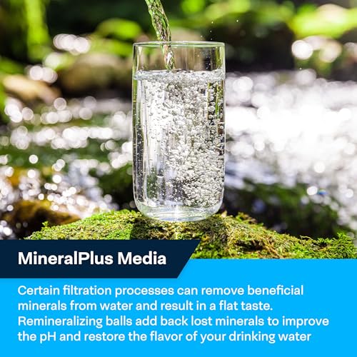 SP IM120 Alkaline Carbon Inline Water Filter with 1