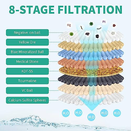 Filtered Shower Head with Handheld Combo