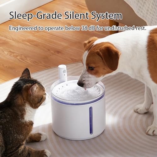 Smart Automatic Pet Water Fountain (845 Gram)