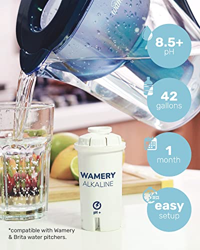 Alkaline Pitcher Water Filter Replacement
