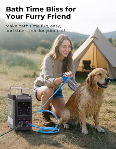 Portable Water Heater with Thermostatic Control and Pump
