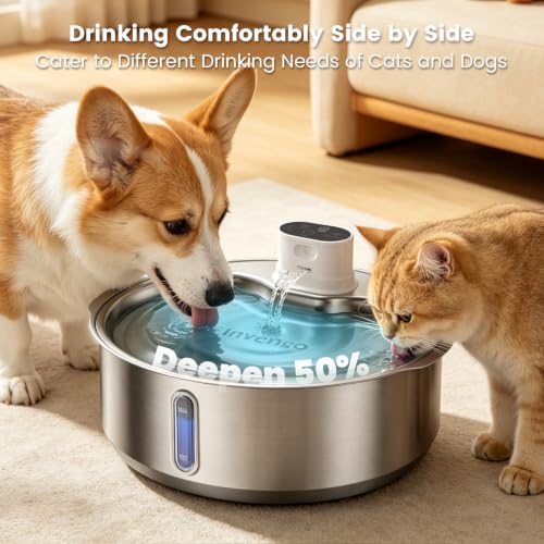 8L 270oz Cordless Stainless Steel Dog Water Fountain