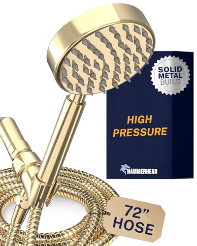 Solid Metal Handheld Shower Head with Hose and Brass Holder