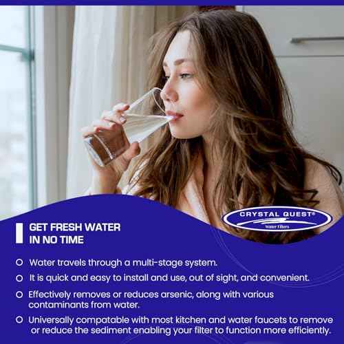Double Under Sink Arsenic Water Filter