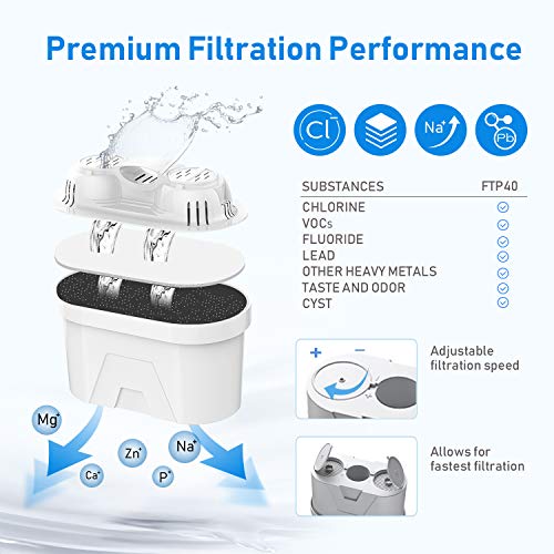 FPT01 Replacement Water Filter Cartridge Set for FP40 Water Filter Pitcher (2 Count)