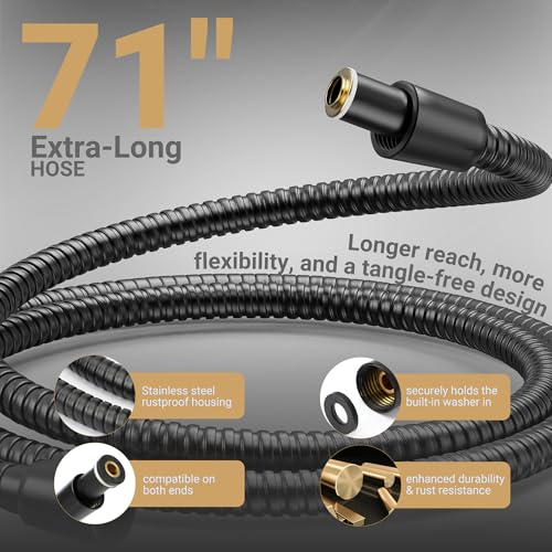 Filtered Shower Head with Handheld