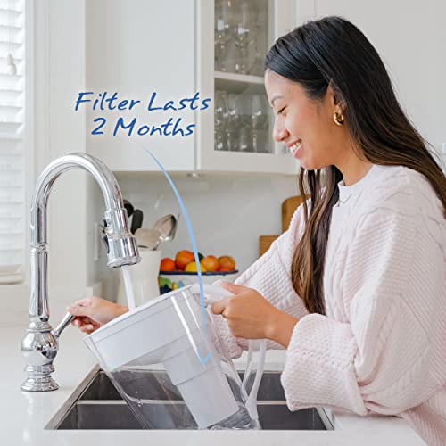 MINA Alkaline Pitcher