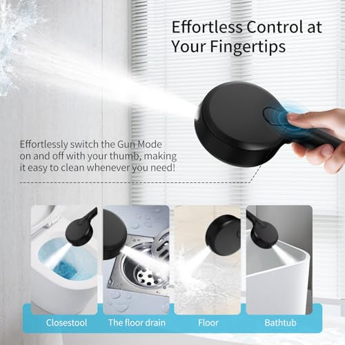 Filtered Shower Head with Handheld