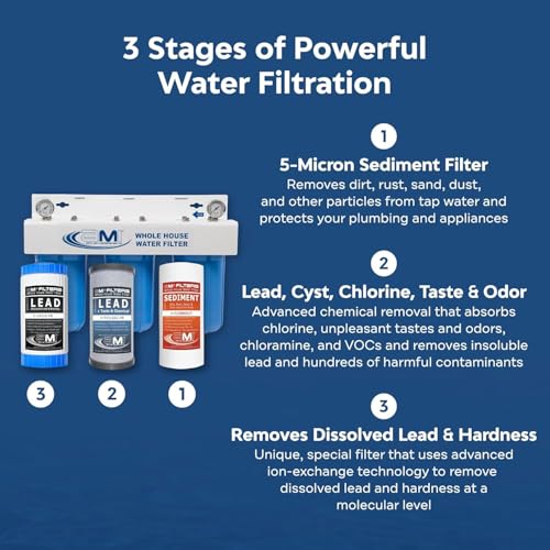 3 Stage Whole