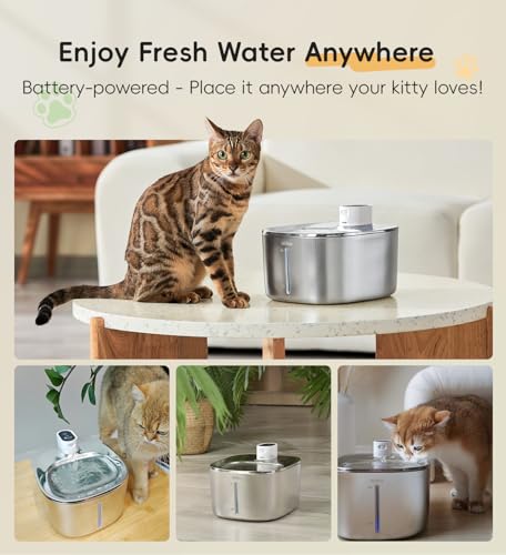 Cat Water Fountain Stainless Steel