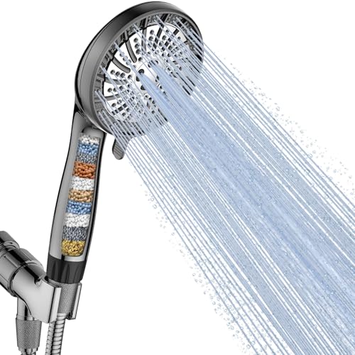 Filtered Shower Head with Handheld