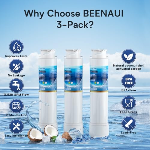 Water Filter Replacement